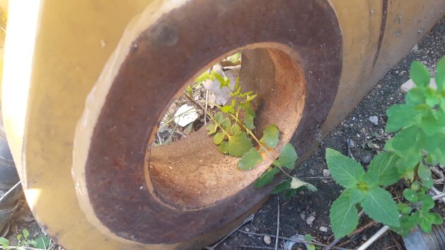 CATERPILLAR  330D  290-9237 - PLUMA 6,50M - Imagen 8